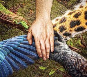 oportunidad de inversion tabasco